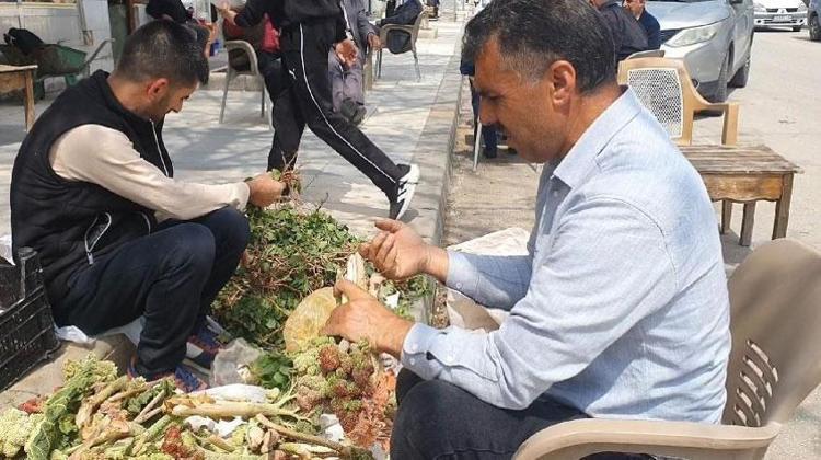 KANSERDEN KALP SAĞLIĞINA KADAR KORUYUCU KALKAN