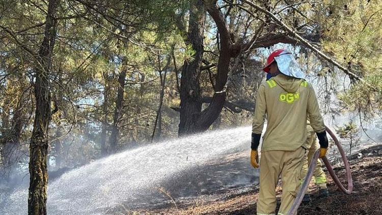 Bakan Yumaklı orman yangınlarındaki son durumu açıkladı 213 yangın kontrol altına alındı: 10 il için kritik uyarı