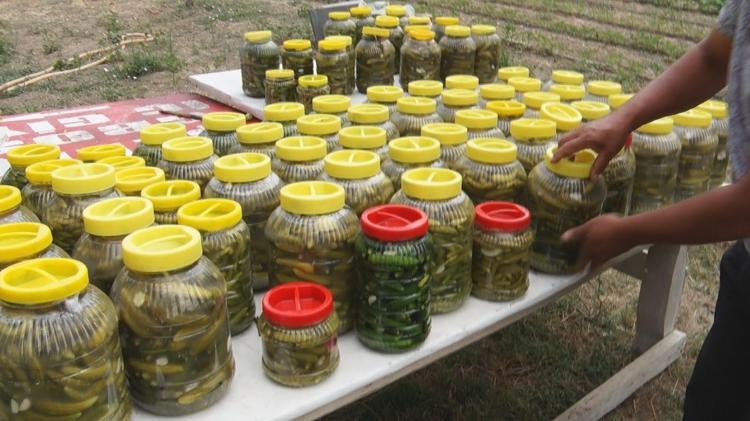 Eşim olmasa ben bu işi yapamam dedi 45 dönümlük tarlada gece gündüz kırmızı örümcek savaşı: 5 kilosunun fiyatı 900 liraya dayandı