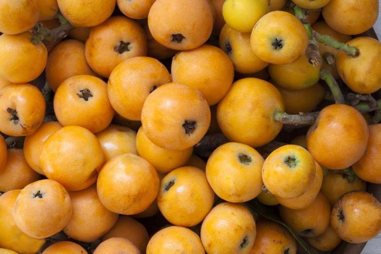 Yılda sadece birkaç hafta bulunuyor Pazarda gören kilo kilo alsın resmen vitamin ambarı
