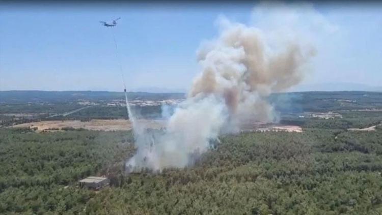 Orman yangınlarında son durum Marmara Adasında 1 kişi gözaltına alındı