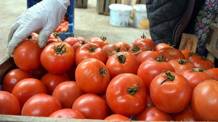 Kimse bu yöntemi bilmiyor Domatesin verimini ikiye katlayan basit yöntem