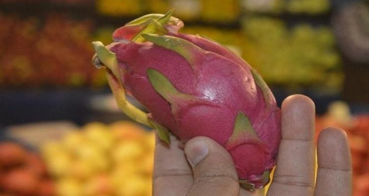 Sera kuran rotayı buna çevirdi Az alanda yüksek kazanç sağladığını gören yakasını bırakmıyor