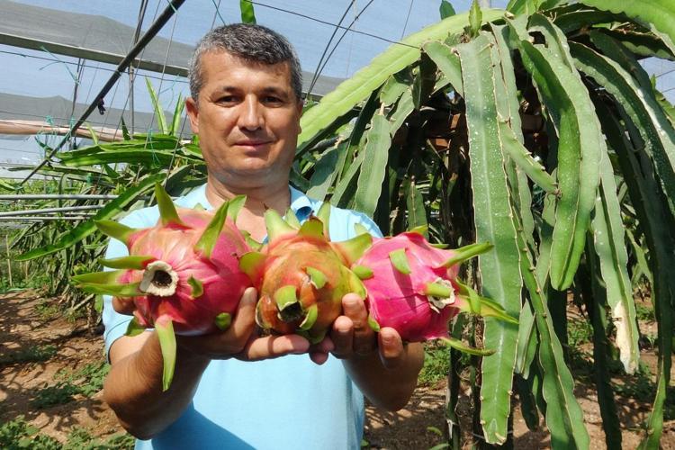 Sera kuran rotayı buna çevirdi Az alanda yüksek kazanç sağladığını gören yakasını bırakmıyor