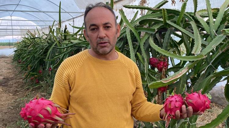 Sera kuran rotayı buna çevirdi Az alanda yüksek kazanç sağladığını gören yakasını bırakmıyor
