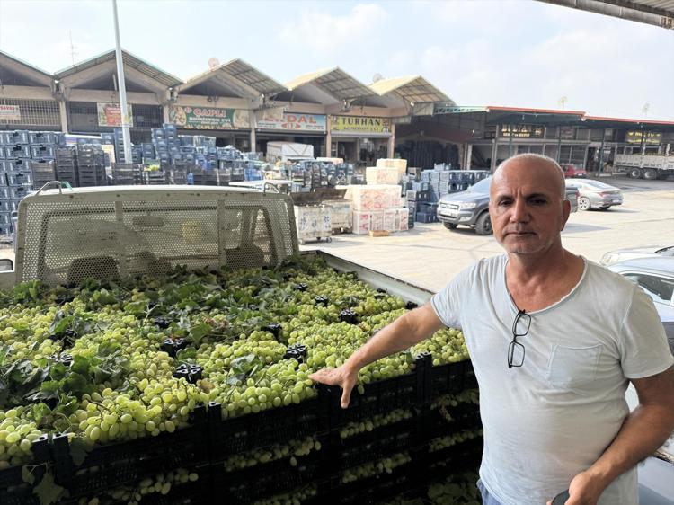 Geçen yıl kilosu 50 liraydı, bu yıl 10 liraya düştü Rekolte yüksek ama üreticisi dertli