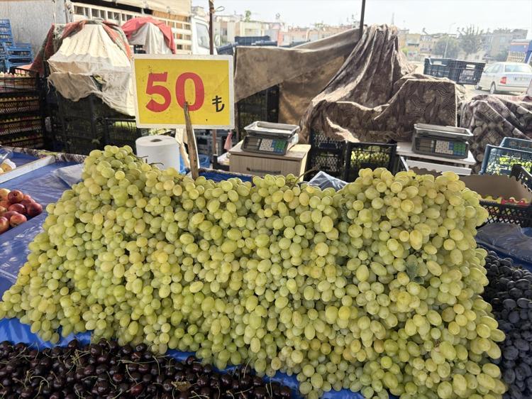 Geçen yıl kilosu 50 liraydı, bu yıl 10 liraya düştü Rekolte yüksek ama üreticisi dertli