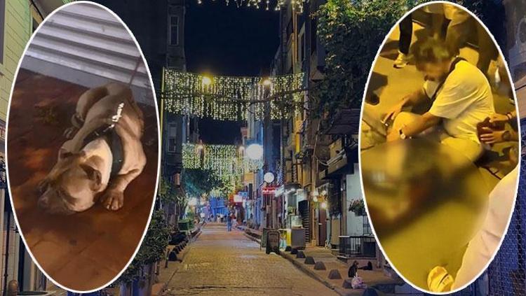 İstanbulda pitbull kavgası Köpeğine saldırınca sahibini bıçakladı