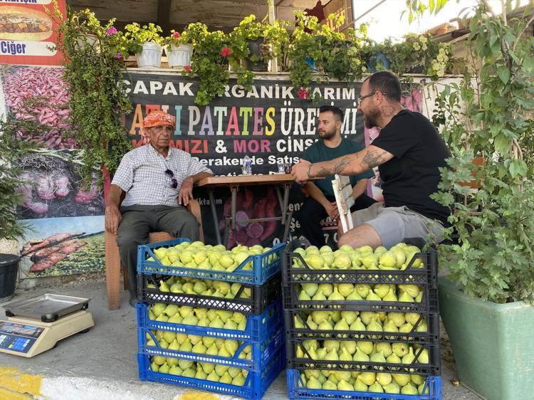 İzmir Torbalıda hasadı başladı Sabahın ilk ışıklarıyla toplanıyorlar: Tarlada 150 lira, pazarda kapış kapış gidiyor