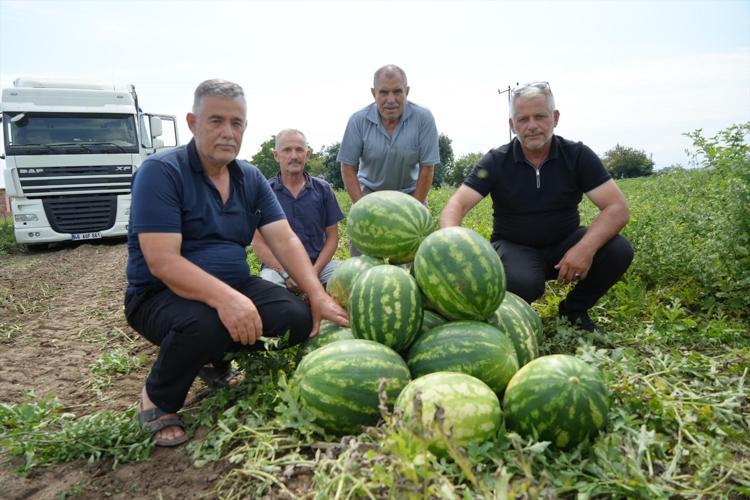 Baldan tatlı hasat başladı Kilosu 3 TLye kadar düştü, rekoltesi çiftçiyi sevindiriyor