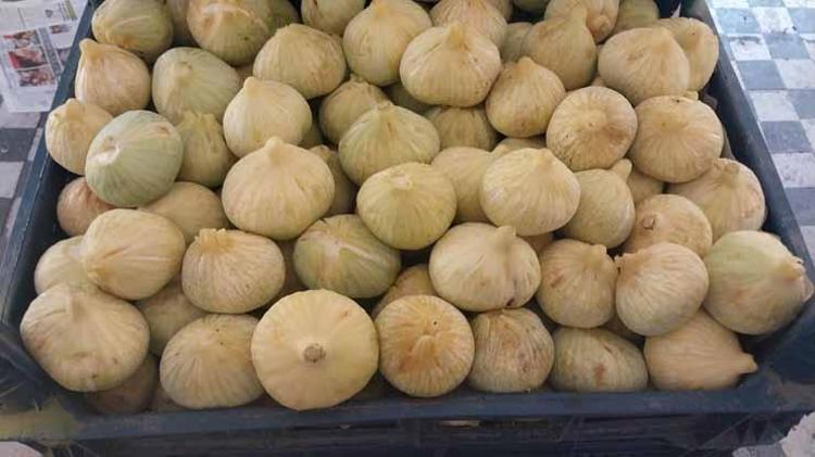 Sakın bu fiyata aldanıp şaşırmayın %80i tarlada döküldü, kilosu 200 TLden pazara indi