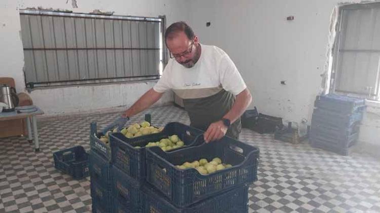 Sakın bu fiyata aldanıp şaşırmayın %80i tarlada döküldü, kilosu 200 TLden pazara indi