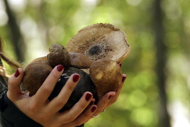 Çevresindekiler boş iş diye alay etmişti: Günde 15 bin, ayda 450 bin TL kazandırıyor