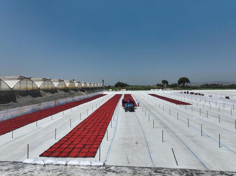 Yüzde 38i İzmir Torbalıda üretiliyor Hedef birinci sıraya çıkmak