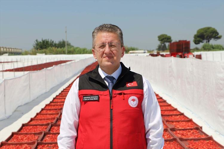 YILDA YAKLAŞIK 40 BİN TON KURUTULMUŞ DOMATES ÜRETİLİYOR