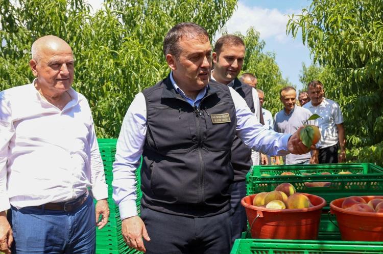 SOĞUK HAVA DEPOLARINDA KALİTE VE MUHAFAZA İNCELEMESİ