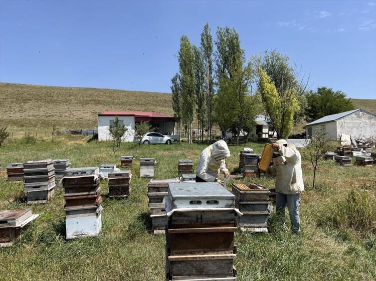 KARS BALININ KİLOSU 2 BİN 500 LİRAYA KADAR ÇIKIYOR