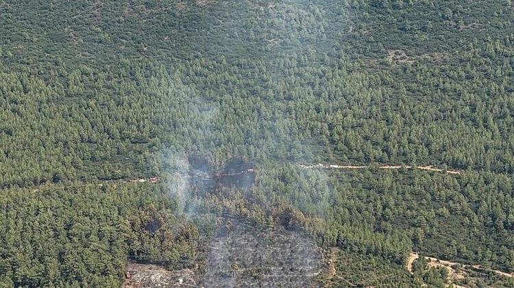 AKDENİZDE 3 DERCELİK ARTIŞ ORMAN YANGINLARINI YÜZDE 187E KADAR ARTIRABİLİR