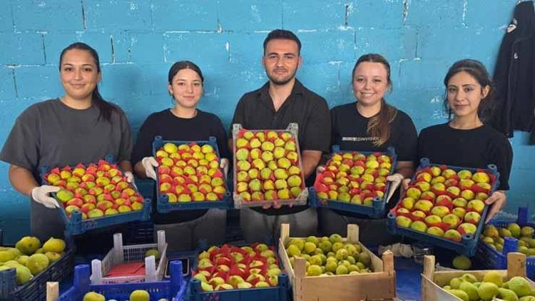 BİNLERCE KİŞİYE EKMEK KAPISI OLUYOR