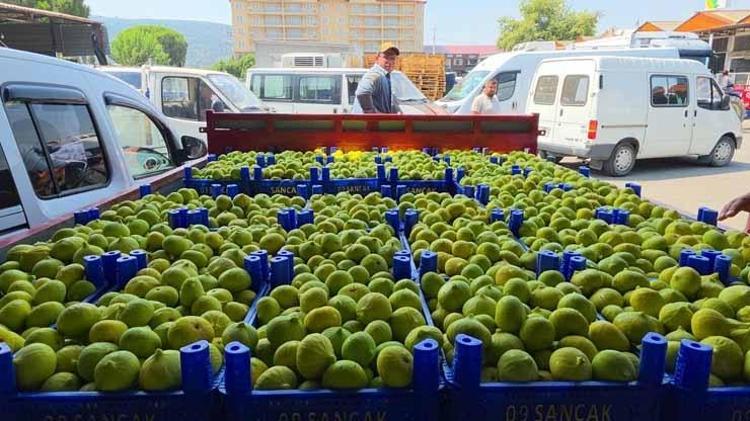 TÜCCAR İBRAHİM SANCAK: REKOLTE VE KALİTE GAYET İYİ, YÜZÜMÜZ GÜLÜYOR