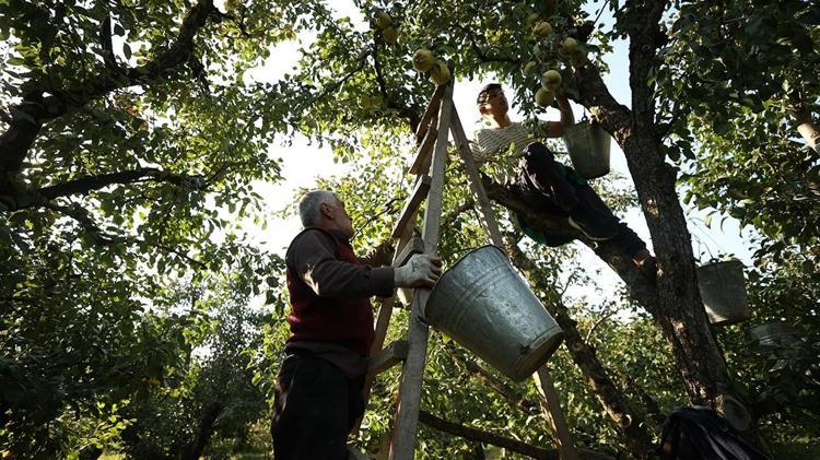 ÇİFTÇİDEN ÇIKIŞ FİYATI 120 LİRAYA KADAR YÜKSELİYOR