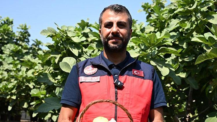 Bölge ekonomisinin can damarı Kahramanmaraşta hasadı başladı: Lezzeti ve aromasıyla damak çatlatıyor