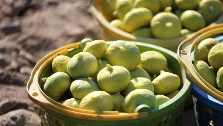 AROMASI VE LEZZETİYLE DAMAKLARI TATLANDIRIYOR