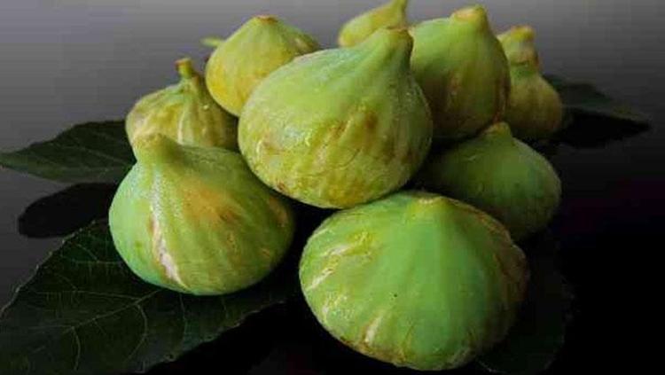 Bölge ekonomisinin can damarı Kahramanmaraşta hasadı başladı: Lezzeti ve aromasıyla damak çatlatıyor
