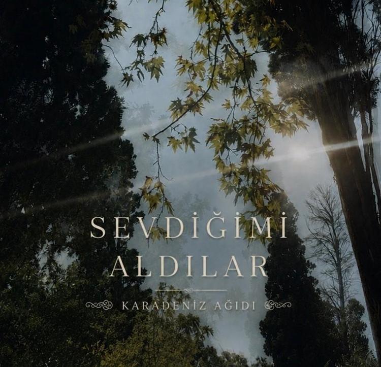 ŞARKISININ KAPAĞINA MEZARLIKTAKİ AĞACI KOYDU