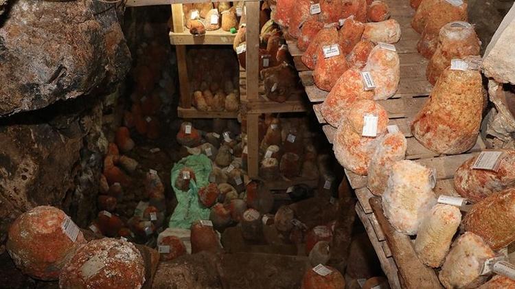 DÜNYADA LABORATUVARDA BİLE KOPYALANAMIYOR