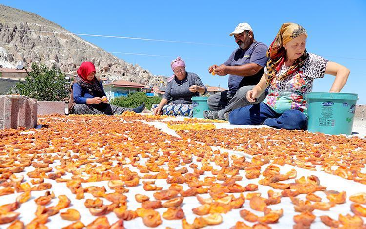 Her gün 2 kayısı yerseniz ne olur Pazarda satılan ilaç deseler yeridir