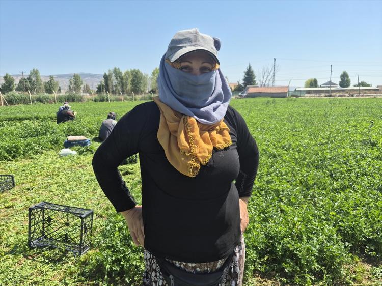 40 derece sıcakta alın teri döküyorlar Mesaisi sabah 6da başlayıp 9 saat aralıksız sürüyor, kadınların emeğiyle tezgaha geliyor