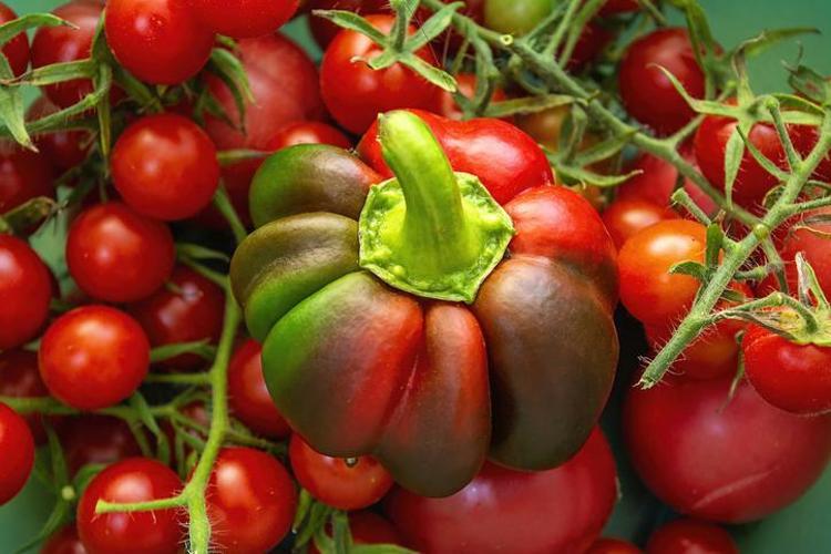 Pazarda gören adını bile bilmiyor Diğerlerine hiç benzemiyor, tadı muhteşem