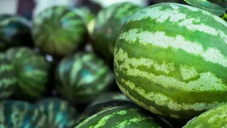 Karpuz seçerken sapına bakıyorsanız büyük hata En kalitelisini anlamanın yolu bu değil