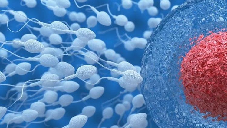 Tüp bebek skandalında yanlış donör şüphesi Vaka sayısı 30 oldu