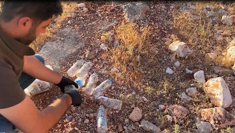 Nemrutta yakalandılar 2 yabancı uyrukluya çekirge toplarken suçüstü: Uzmandan ‘genetik çalışma’ uyarısı
