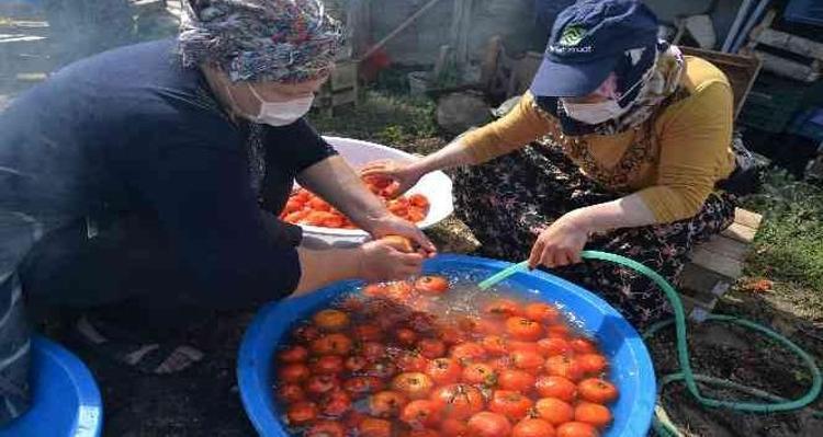 Salçanın rengi organik olduğunu gösterir mi Meğer dikkat edilmesi gereken nokta buymuş