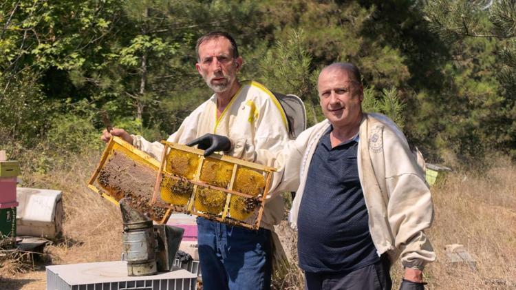 Babasının hastalığıyla başladı, hayatının mesleği oldu Uludağ’ın eteklerinde 80’den fazla bitkiden bal topluyor