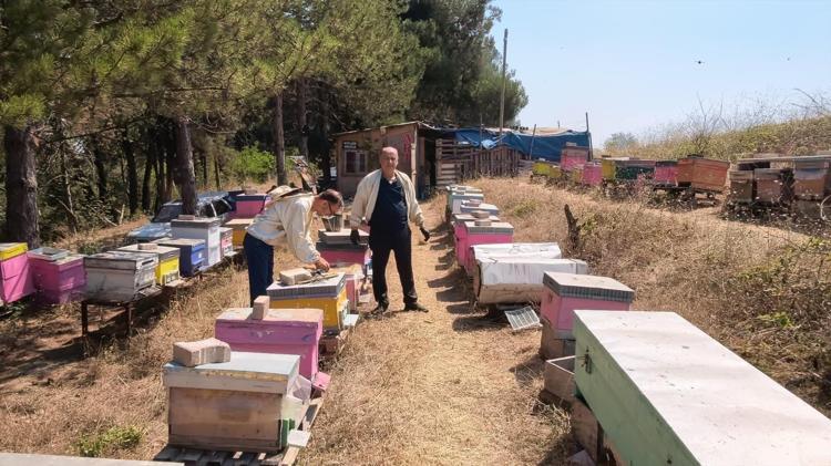 Babasının hastalığıyla başladı, hayatının mesleği oldu Uludağ’ın eteklerinde 80’den fazla bitkiden bal topluyor