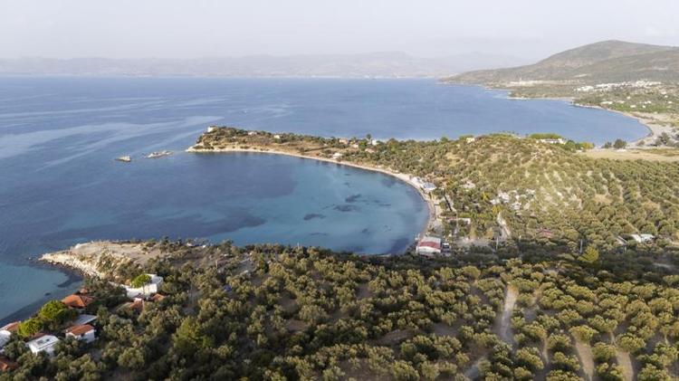 EGE’NİN MASALSI ADASI: DİKİLİ KIYILARI VE KALEM ADASI