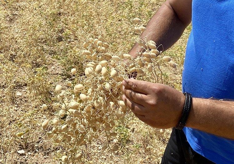 BESİN DEĞERİNİ ARTIRAN MUTFAK TÜYOSU