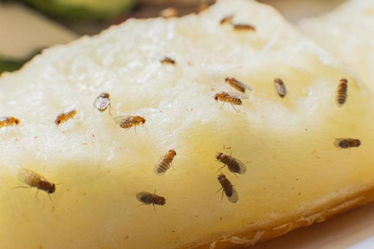 ÇÖP KOVASI VE GİDERLER DE GÖZDEN KAÇIYOR