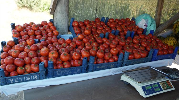 Tabelayı gören tarlaya koşuyor Dalından topluyorlar, tadını seven kilo kilo alıyor