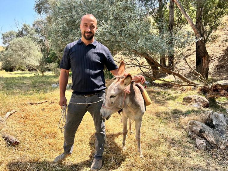 138 yıllık asırlık lezzet: Şifa deposu meyvede hasat mesaisi başladı