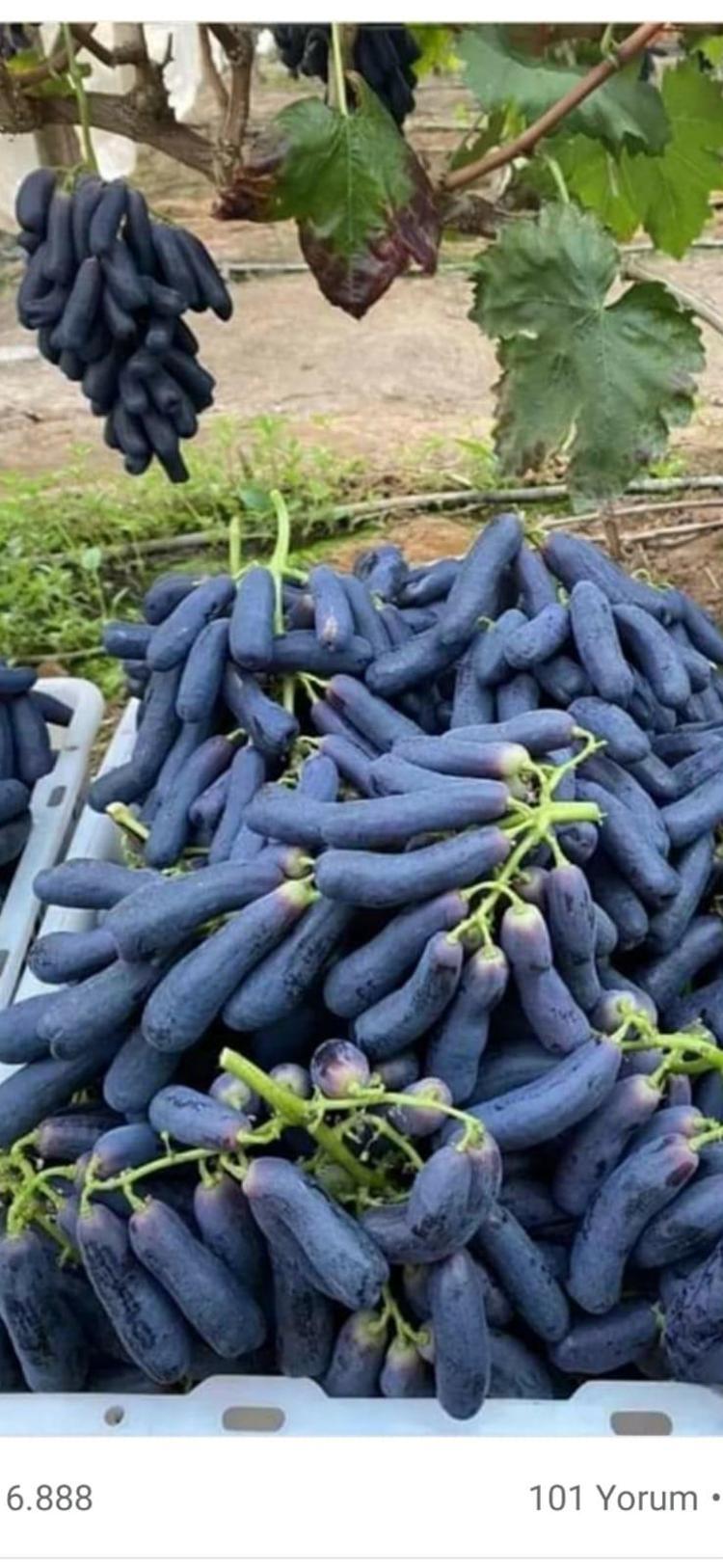 80 ASDAN 7 TON ÜRÜN