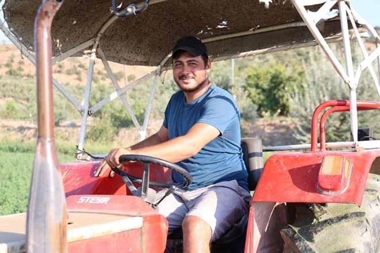 Yağmurlar yaradı, rekor verim geldi Tarladan kapıya kilosu 12 liradan satılıyor...