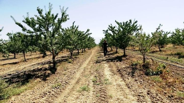 Türkiyede büyük açık var dedi, hobi olarak başlayıp dev tesis kurdu...