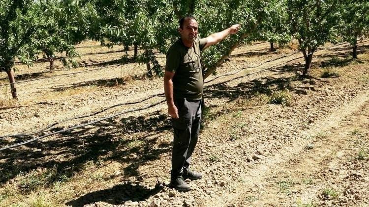 DONA DAYANIKLI ÖZEL CİNS SEÇİLDİ