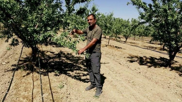 Türkiyede büyük açık var dedi, hobi olarak başlayıp dev tesis kurdu...