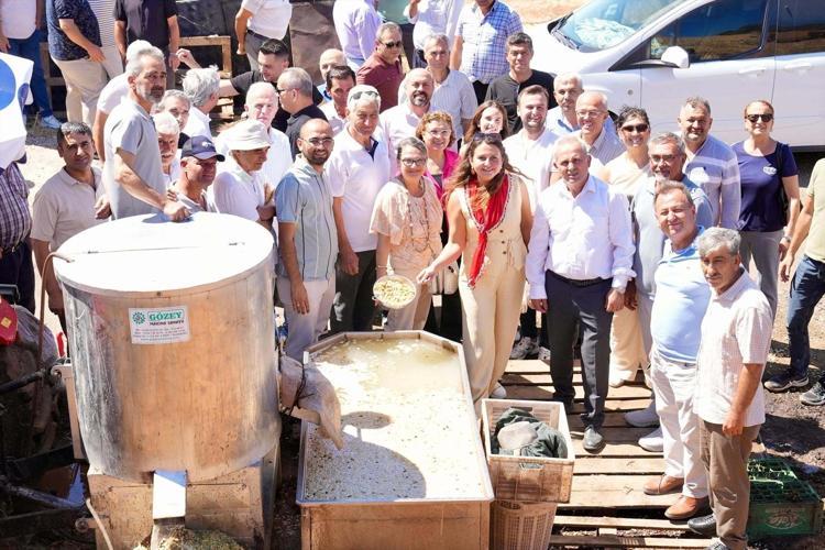 Antep fıstığının bu adresi şaşırtıyor Hasat için kollarını sıvadılar: Saklı kalan tarım değeri gün yüzüne çıktı